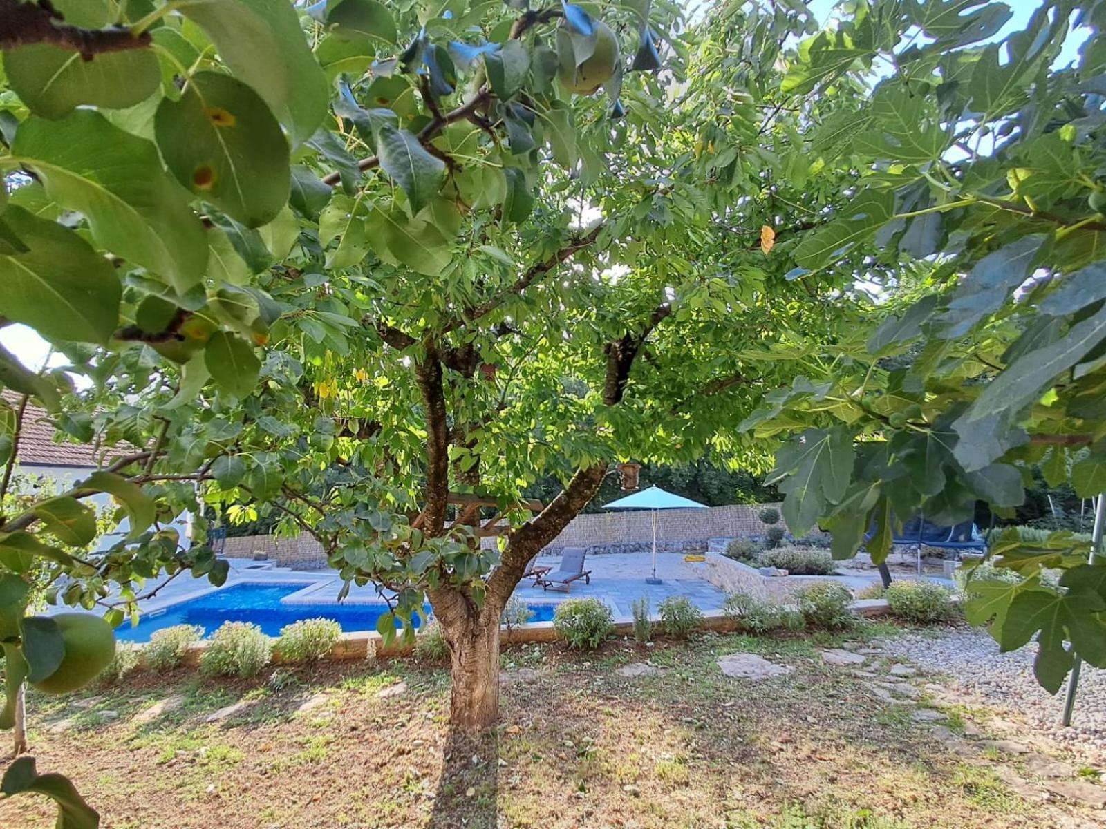 Holiday Home Tone, Makarska - Drum Eksteriør bilde